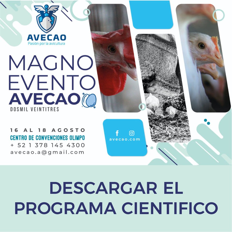Compartimos el programa científico del Magno Evento AVECAO 2023.🐔🐤🐣🥚
Descargar en el enlace:⬇
ydray.com/get/t/16917838…

#AVECAO #AVECAO2023 #ProgramaAVECAO #Avicultura