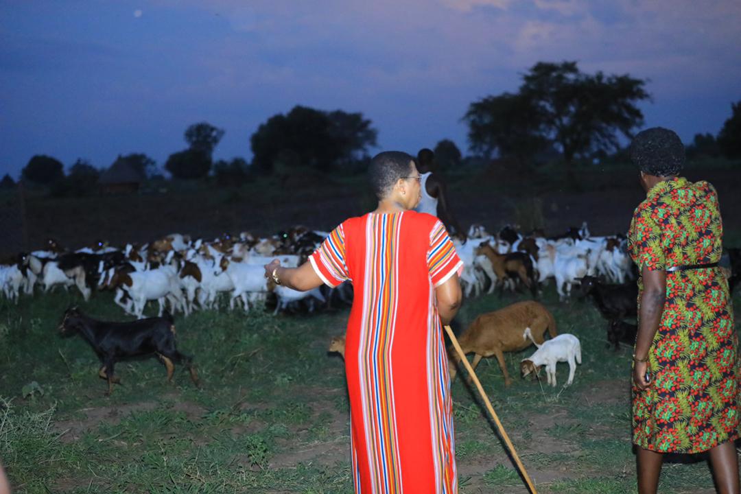 AnitahAmong's tweet photo. Beautiful sunset view on the farm in Bukedea. 
The growing integration of global markets has come with new opportunities, which our people must tap into. 
It is important that as leaders, we encourage our people to diversify into other areas of farming that are sure wins, not only for farmers, but the country as a whole.