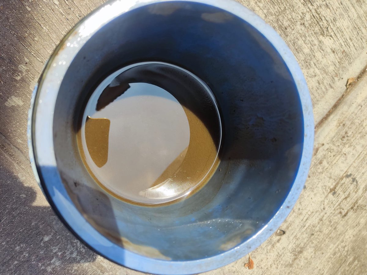 xmakako's tweet photo. Así llega el agua de @siapagdl @Trafico_ZMG en la Colonia El Mirador en Guadalajara. Ya son años de este problema, no es nada nuevo. Se ha reportado incontables veces y nunca ha habido respuesta y mucho menos solución. https://t.co/AVijMmjvNy