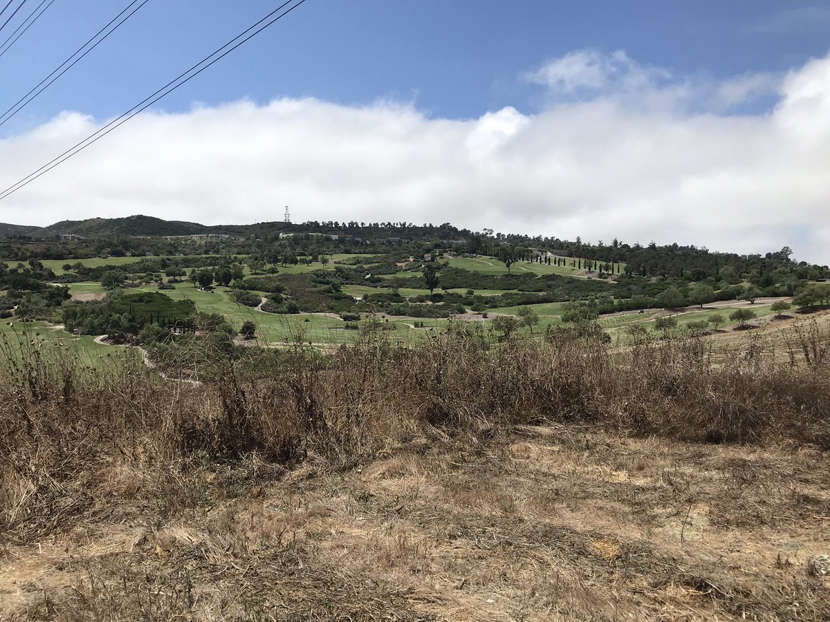 ChapyDesign's tweet image. Going further down the trail on my @ocmmonkeymisfit hike today. It was a hot one 🥵. #monkeymisfit @OnChainMonkey