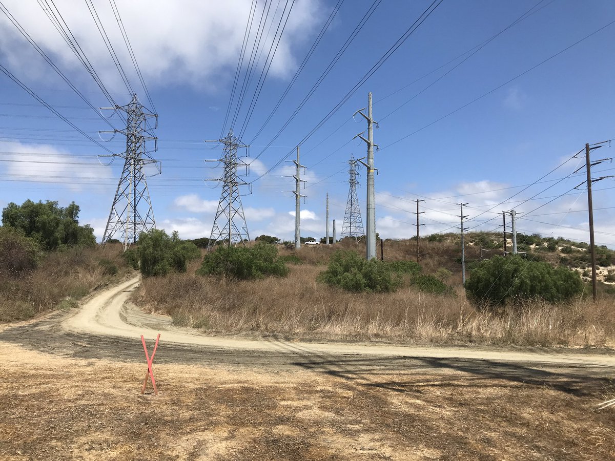 ChapyDesign's tweet image. Going further down the trail on my @ocmmonkeymisfit hike today. It was a hot one 🥵. #monkeymisfit @OnChainMonkey