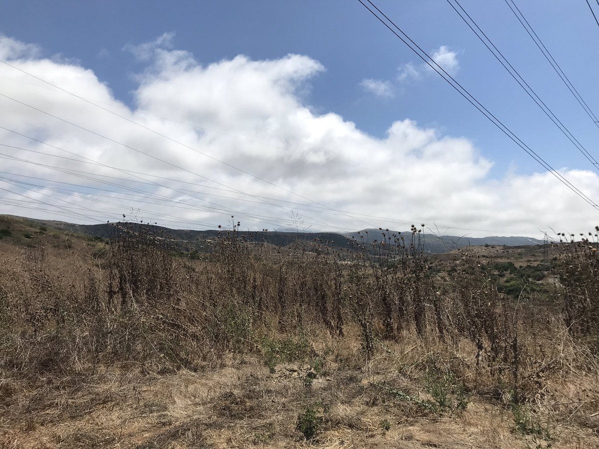 ChapyDesign's tweet image. Going further down the trail on my @ocmmonkeymisfit hike today. It was a hot one 🥵. #monkeymisfit @OnChainMonkey