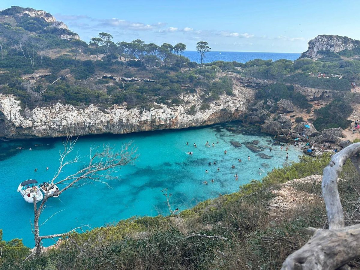 setgaro's tweet image. have fun and enjoy these days