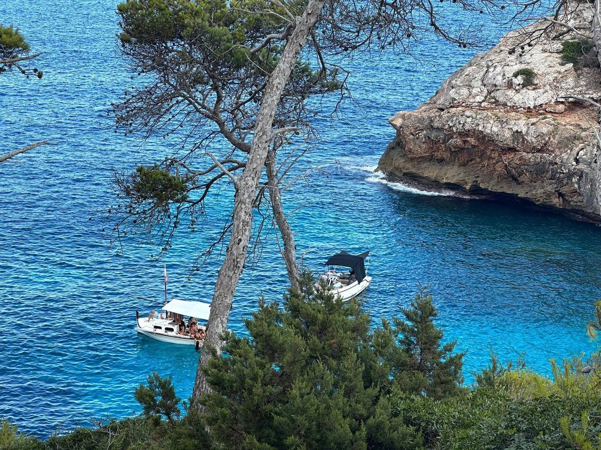 setgaro's tweet image. have fun and enjoy these days