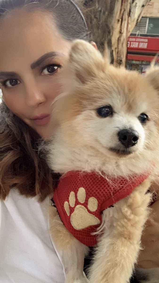 Karla De Regil tweet media