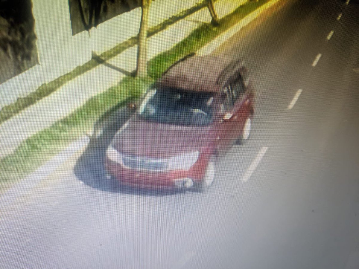 Steph Tetzner tweet media