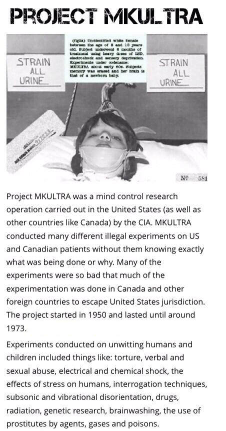 iluminatibot's tweet image. 