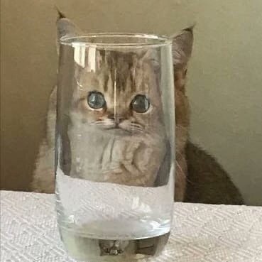 LikaRichi's tweet photo. Грустно, когда в компании ты тот самый чел, который не курит. Сидишь такой, душа компании, и  в какой-то момент остаёшься наедине со своим экзистенциальным кризисом. https://t.co/4GLPKHJXRb