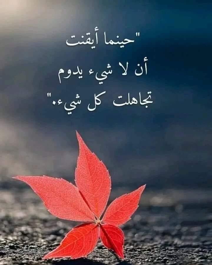 Marwa Alsaadey (@marwaalsaadey) on Twitter photo 