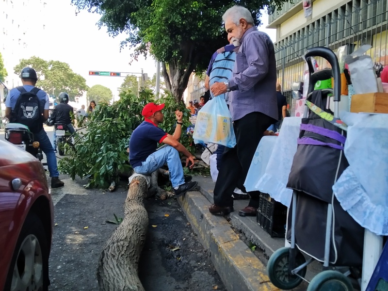 EfectoCocuyo's tweet photo. La lluvia caída durante la tarde de este #10Ago sobre Caracas causó varios daños en la capital. Muchos árboles se desplomaron debido al fuerte viento y en varias zonas el servicio eléctrico se vio interrumpido.

Te contamos #EnFotos ⤵️https://t.co/J8zrjVUfO1

📷: @mairetchourio https://t.co/OtuFcdiXo6