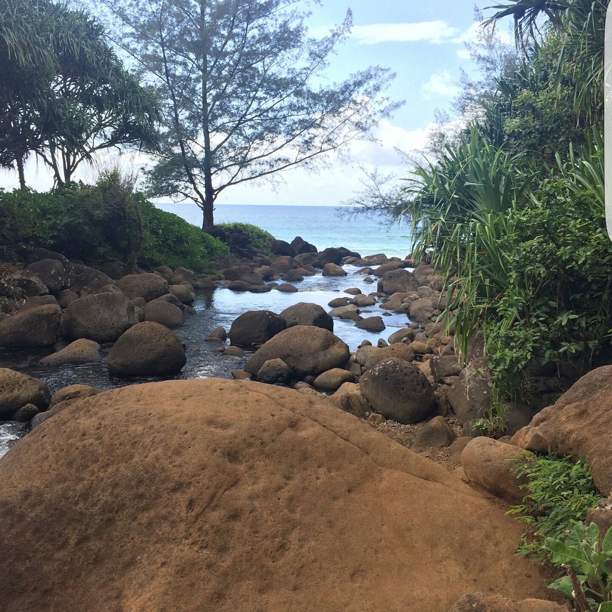 KayDubb___'s tweet photo. See you tomorrow Kauai! 🌊 ✈️ https://t.co/EILHJG20Ek