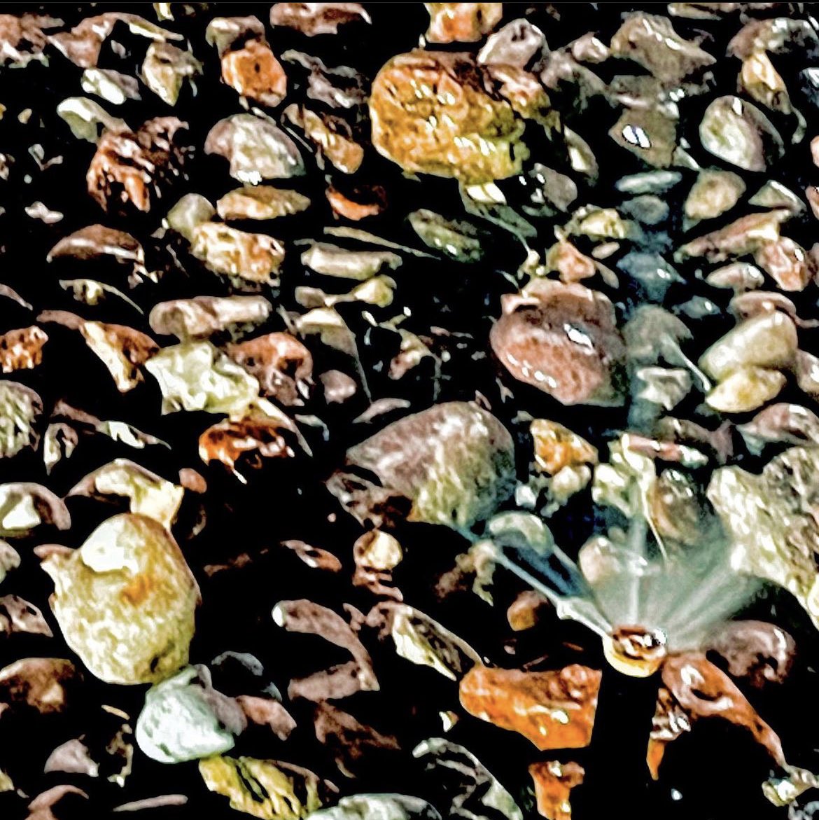 tommyatx's tweet photo. As #Austin enters #water restrictions for residents to be monitored and enforced by the new digital water meters, commercial use (the main consumer/waster) waters rocks. #Wataburger has a precious rock garden. https://t.co/g3SxXvuTfI