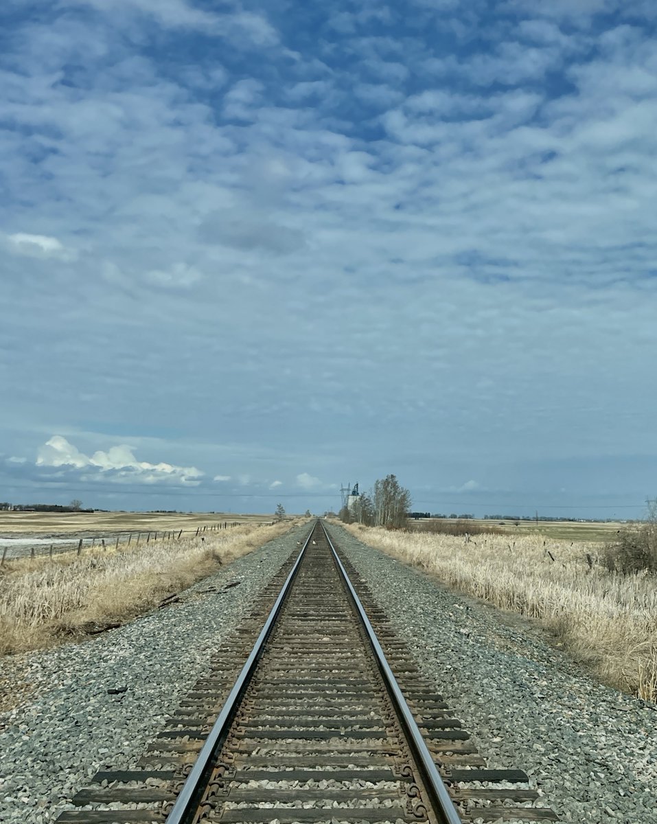 Discover the power of NFT photography that leaves a lasting impact! Our artists not only share their creative vision but also contribute to reforestation. With 1% of profits going toward planting trees, each NFT purchase helps create a greener future.   #NFTPhotography #Trees