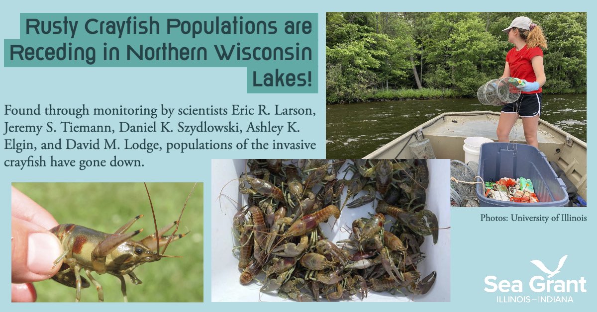 Good news! In a study of Northern Wisconsin lakes over 33 years, <a href="/DannySzydlowski/">Danny Szydlowski</a> &amp; @ERLarsonLab found invasive rusty crayfish populations have declined in many places, allowing native communities to recover. #CrayWeek learn more at the 🔗 in bio!