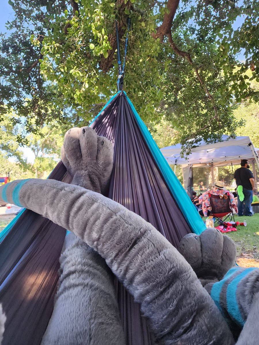 Ya know, hammocks are surprisingly comfy, even with a giant tail! Might have to set it up again and kick back on a #FursuitFriday.

🧵: <a href="/zeepalmerr/">Lindsay Palmer (Sudoku)</a>
📍: <a href="/SoCalFurBQ/">SoCal FurBQ - August 5th</a>