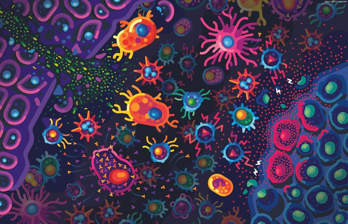 A book by Philipp Dettmer, creator of <a href="/Kurz_Gesagt/">Kurzgesagt</a>, charts the vast array of different immune cells, what they do, the way they communicate with each other, and what happens when things go wrong.

Check out the review from <a href="/SciMagBooks/">Science Book Review</a>: scim.ag/3Hw