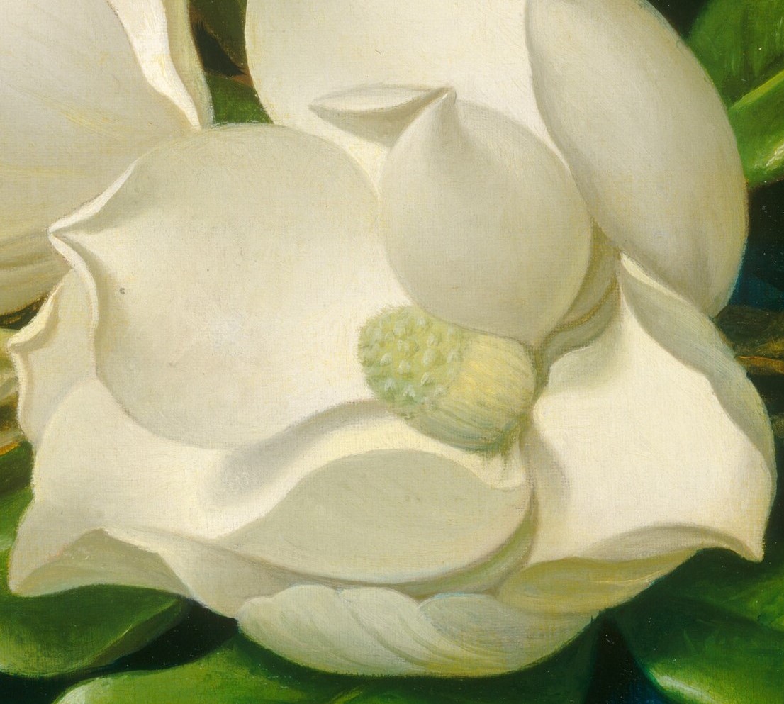 TimothyGWeir's tweet photo. Happy birthday to American artist and naturalist Martin Johnson #Heade (1819-1904), known for his distinctive paintings of tropical birds and flowers. Painting: "Giant Magnolias on a Blue Velvet Cloth" of 1890, oil on canvas, The National Gallery of Art @ngadc https://t.co/RuckDqCxJV
