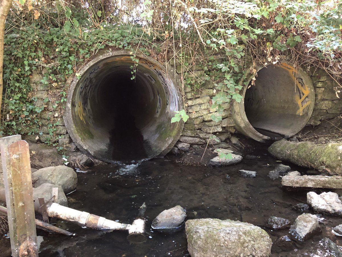 ExploresRetail's tweet image. More creepy tunnels in my hometown! Would like to see what’s inside… lol.