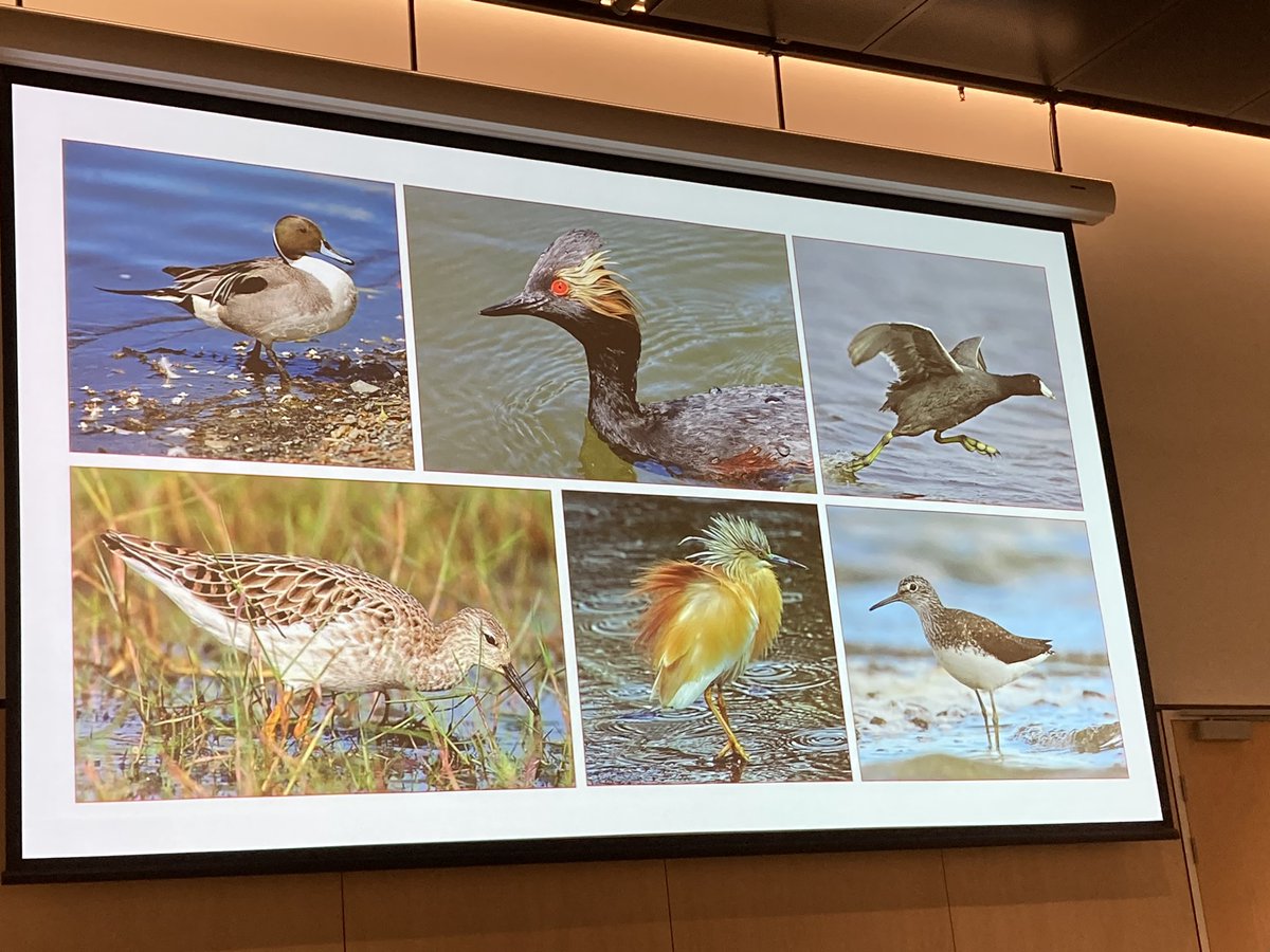 Zoë van Litsenburg tweet media