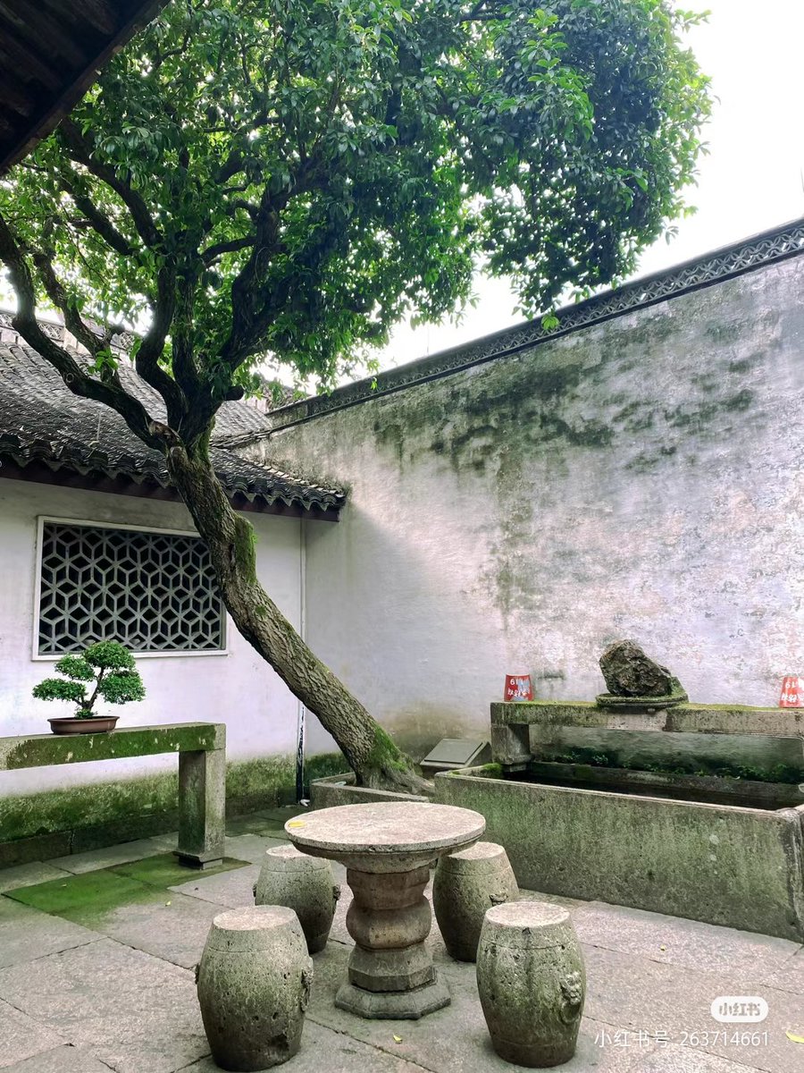 Alice12630842's tweet photo. 什么是路？就是从没路的地方践踏出来的，从只有荆棘的地方开辟出来的。
你期待来日方长，却忘记世态炎凉。 https://t.co/0UnllNZfgQ