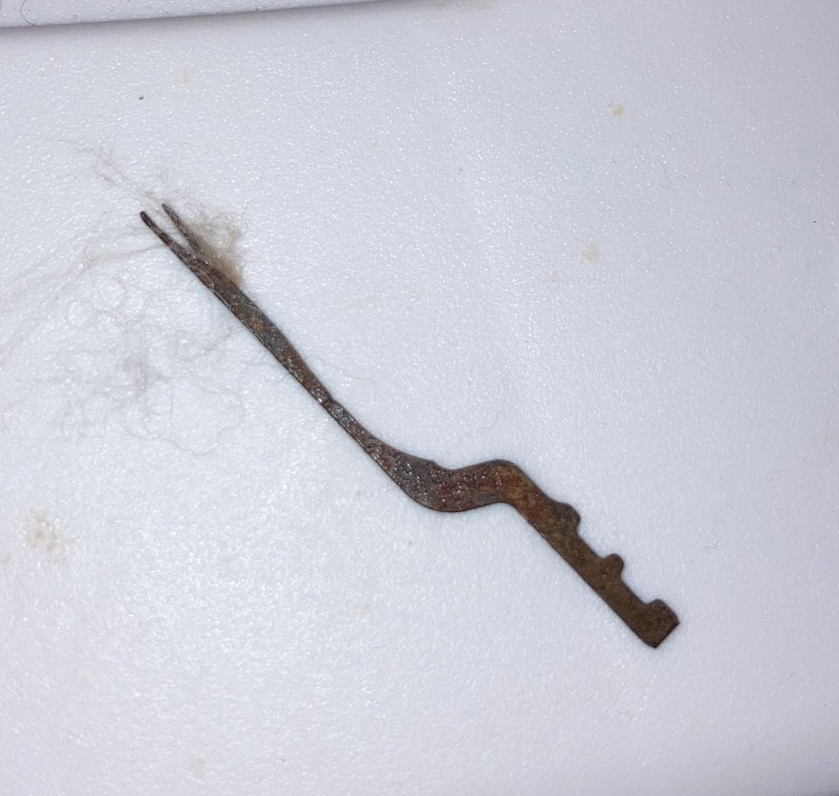 Synthetic Animals tweet media