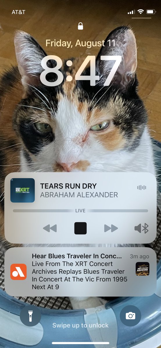 TierraExtranjer's tweet photo. ⁦@93XRT⁩ you are playing allll the good stuff tonight! https://t.co/QeMfyx847e