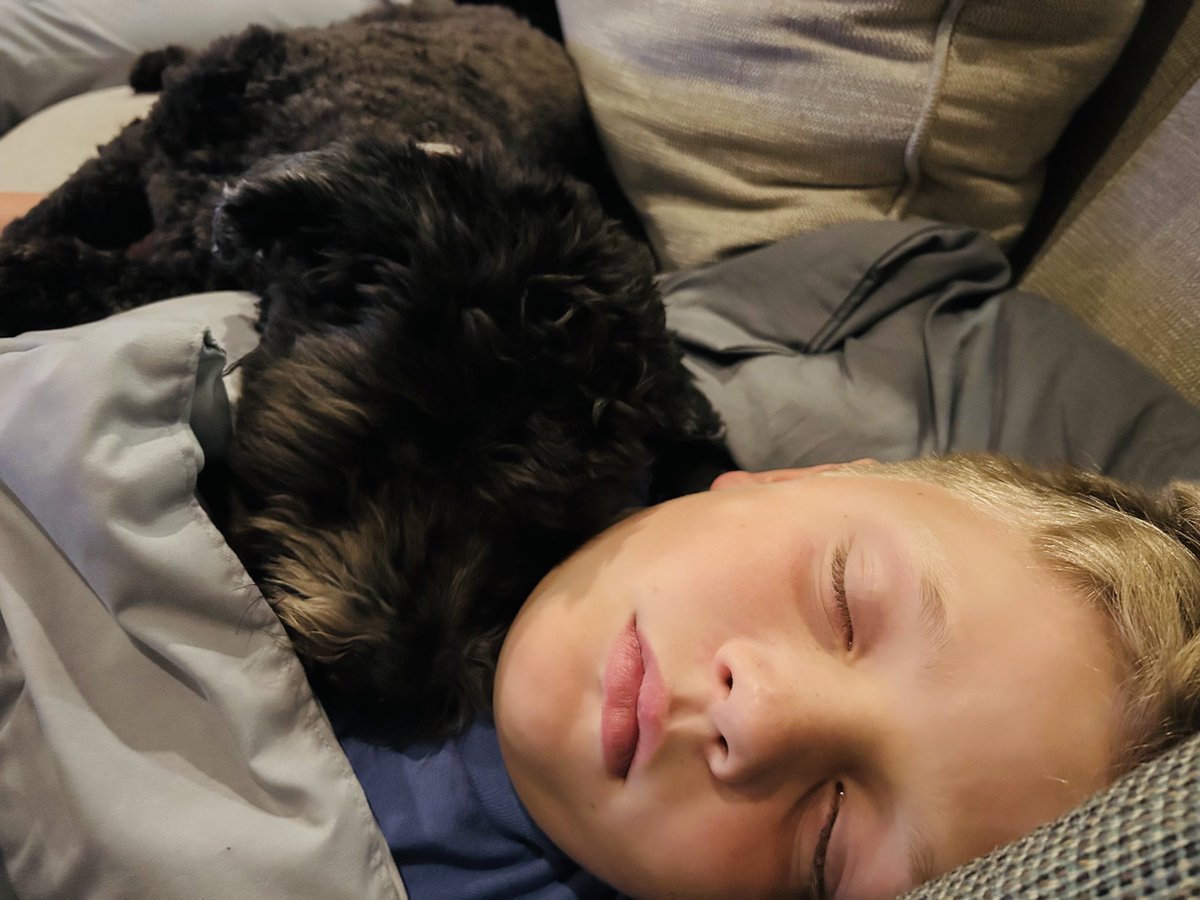 Elizabeth Bennett (@ebennett16) on Twitter photo Two sleepy boys. Fridays are hard. #bennettboys23 Two sleepy boys. Fridays are hard. #bennettboys23