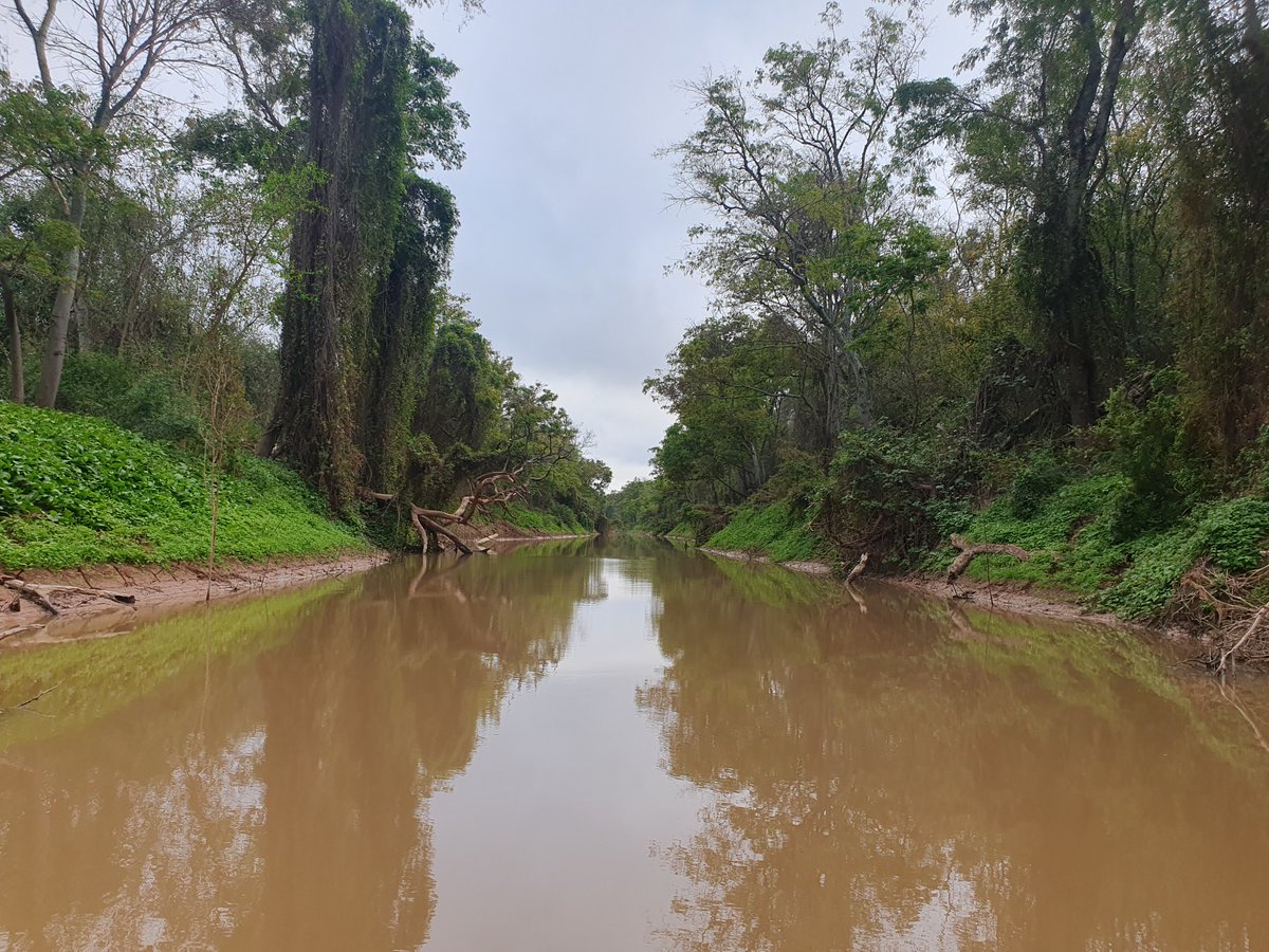 Acabo de regresar de un viaje por Formosa y Chaco. Qué país hermoso tenemos... No dejen de visitar el Bañado La Estrella y el PN Impenetrable, dos bellezas absolutas 😍😍