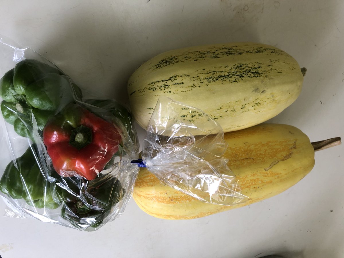 お知らせ📢⛰️

多菜田直売所🫑
8月13日(日)
お休み致します🙇‍♀️

食事処は通常通り🍙
11:00〜14:00
営業致します😁

よろしくお願い致します☺️