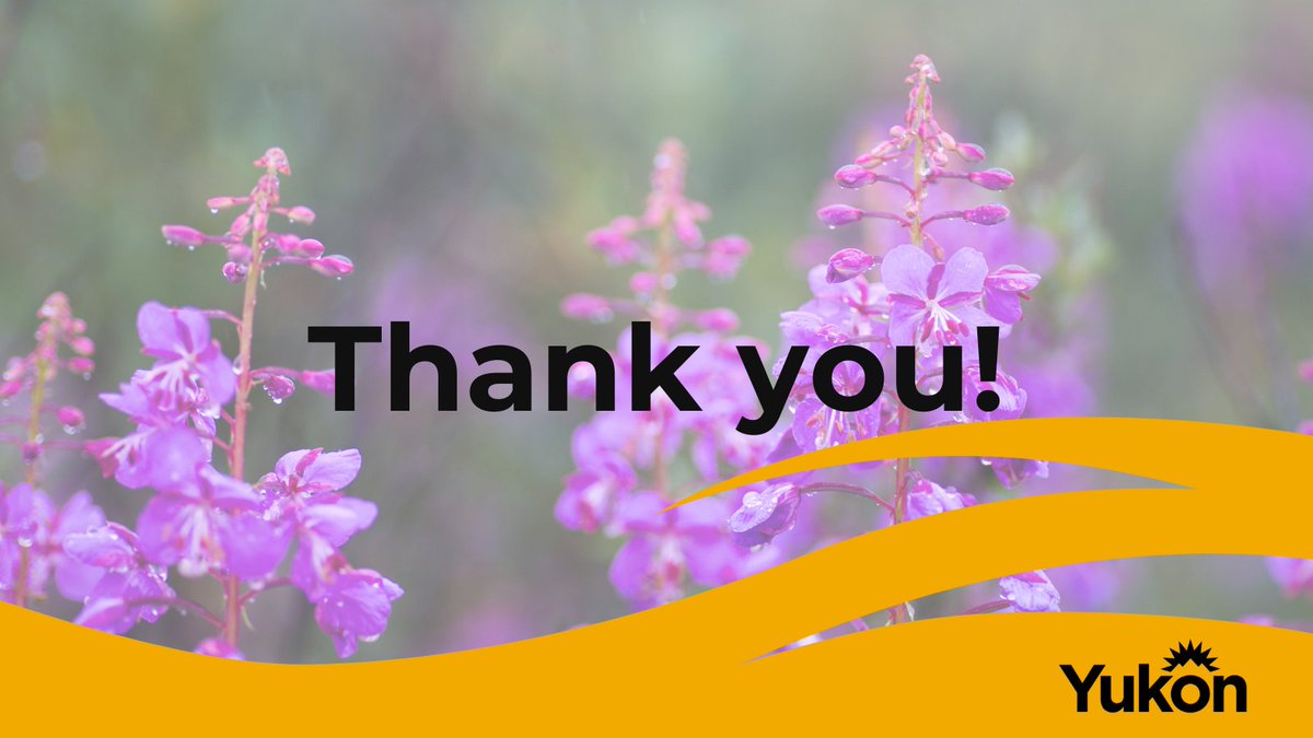 As we continue to respond to the Yukon’s challenging wildfire situation, we want to say thank you to all the people, organizations, Nations and responders including volunteers and staff who are working together on this response and supporting evacuees.
