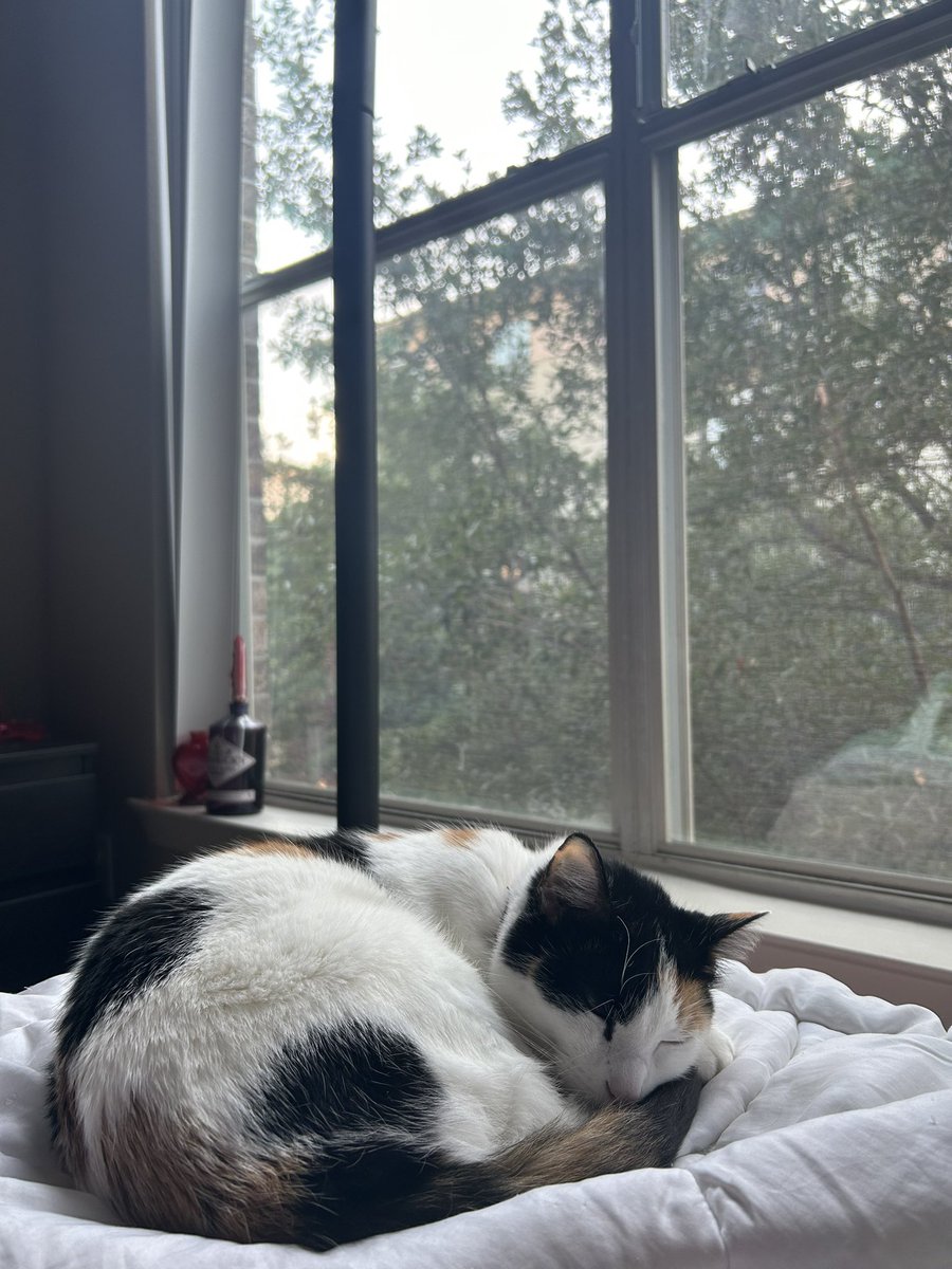 lilheartts's tweet photo. An update on life. 🫧 https://t.co/LoWj5v4SRB