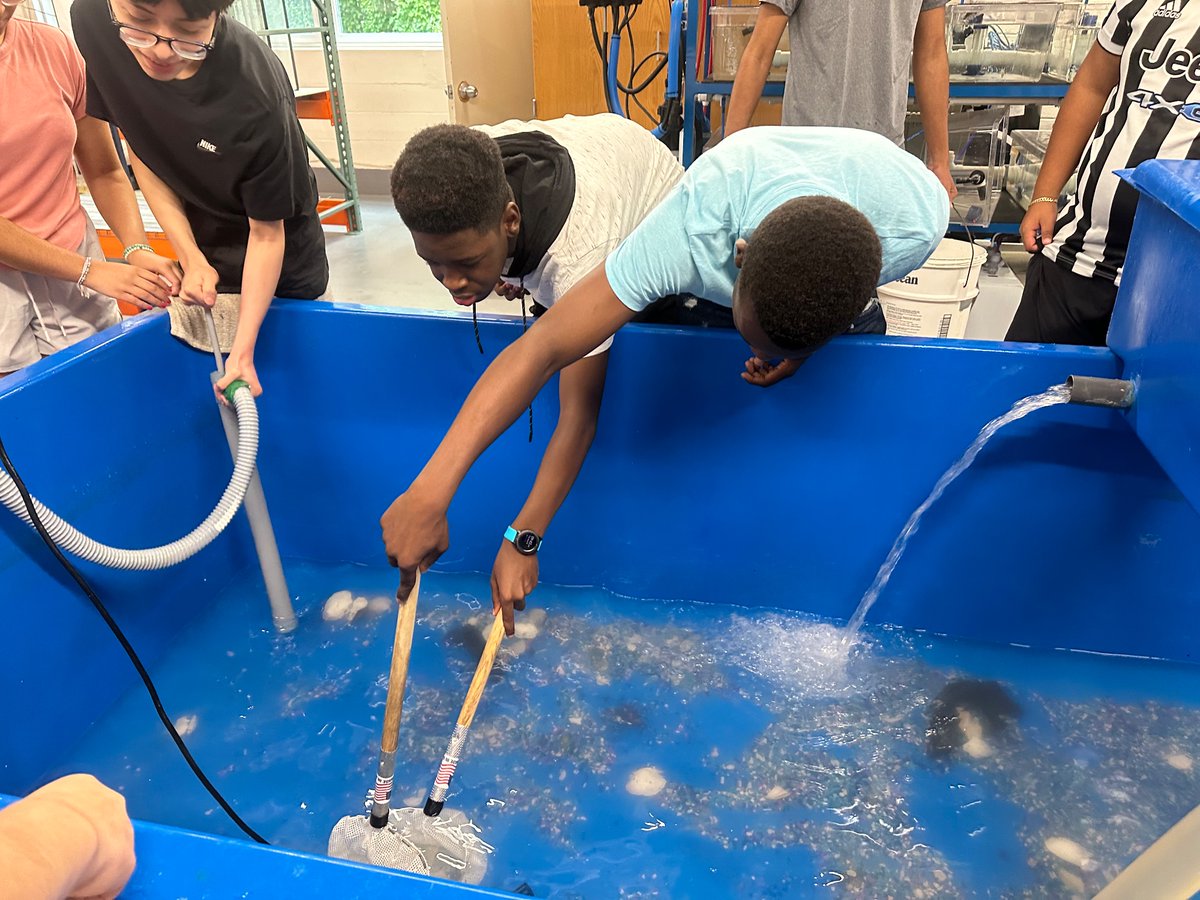 LaShante James tweet media