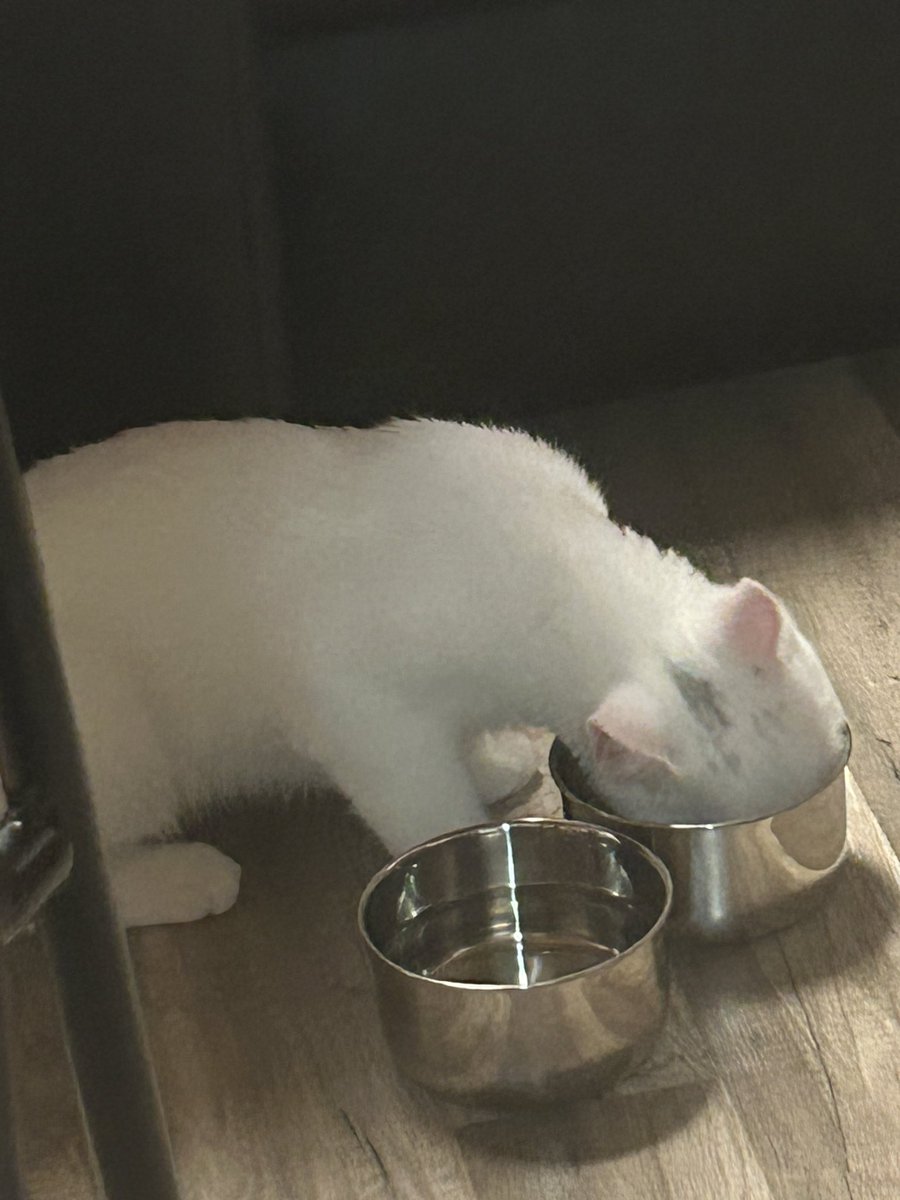 Da ist die kleine nini <a href="/Solidnox/">Solidnox</a> <a href="/atomarestv/">Atomares ☢ (🏡)</a> 🥰