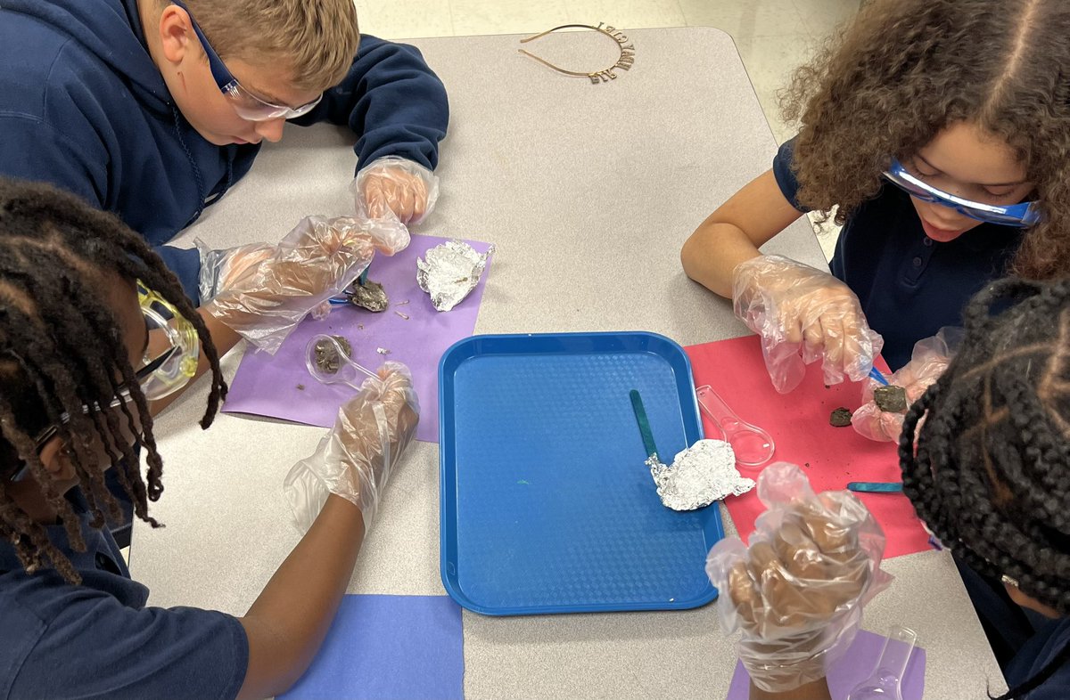 MsNiehaus's tweet photo. Worked like scientists today dissecting owl pellets! #gisdscience @VialCC_Vikings https://t.co/1zfswanann