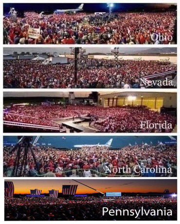 PamPrayer's tweet photo. @nancy_hamm1 @1mir_r @1mZerOCool @45dt4 @45KAG1 @AlaskaPatriot1 @AmerSave @AndrewPatriot_ @anguishoflibs @Corgi_MAGA @crdub35 @Robert_Cr59 @DebForTrump2024 @DW_Belknap 🙏🇺🇸🙏 I’m following all Great Patriots! #ProtectTheVote #DemandElectionIntegrity https://t.co/ZnhEplDMbi
