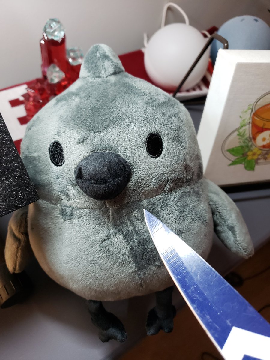 CapnCeedee's tweet photo. Like this xeet or else #doodle gets the knife. #pointcrow https://t.co/rjwTiOCW8Z