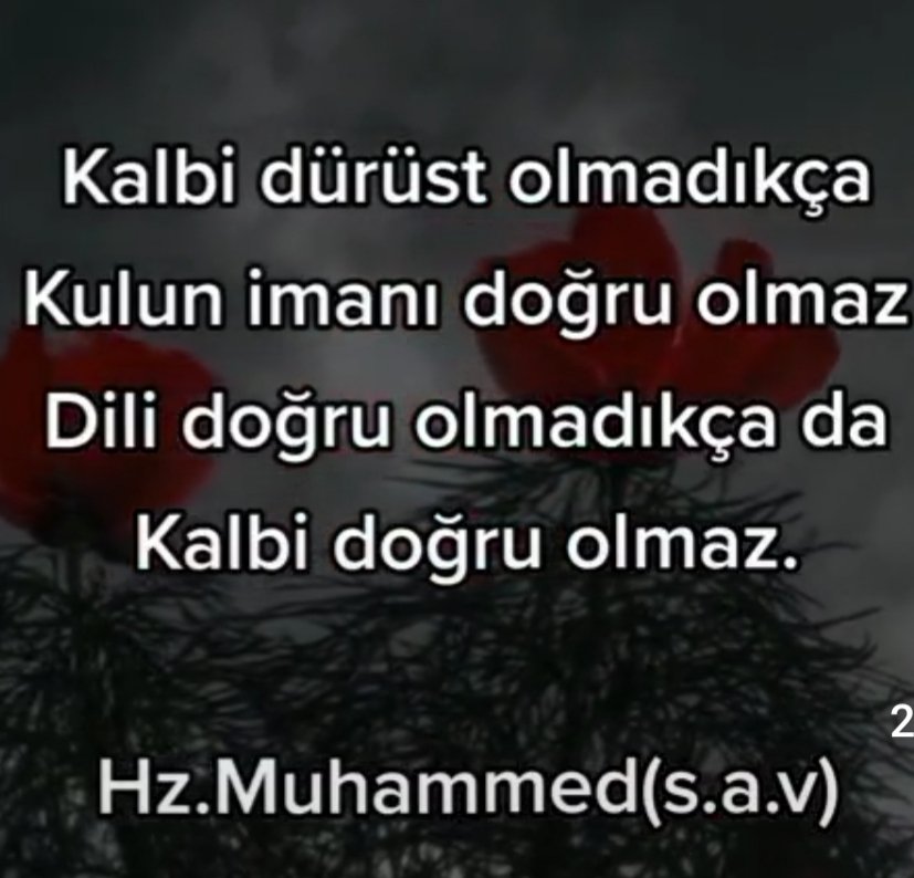 “Bir konuda sana inandığı hâlde kardeşine yalan söylemen ne kadar büyük bir ihanettir!”
#StajyerÇırakUmutlu
#StajÇırakTBMMdenYasaBekliyor