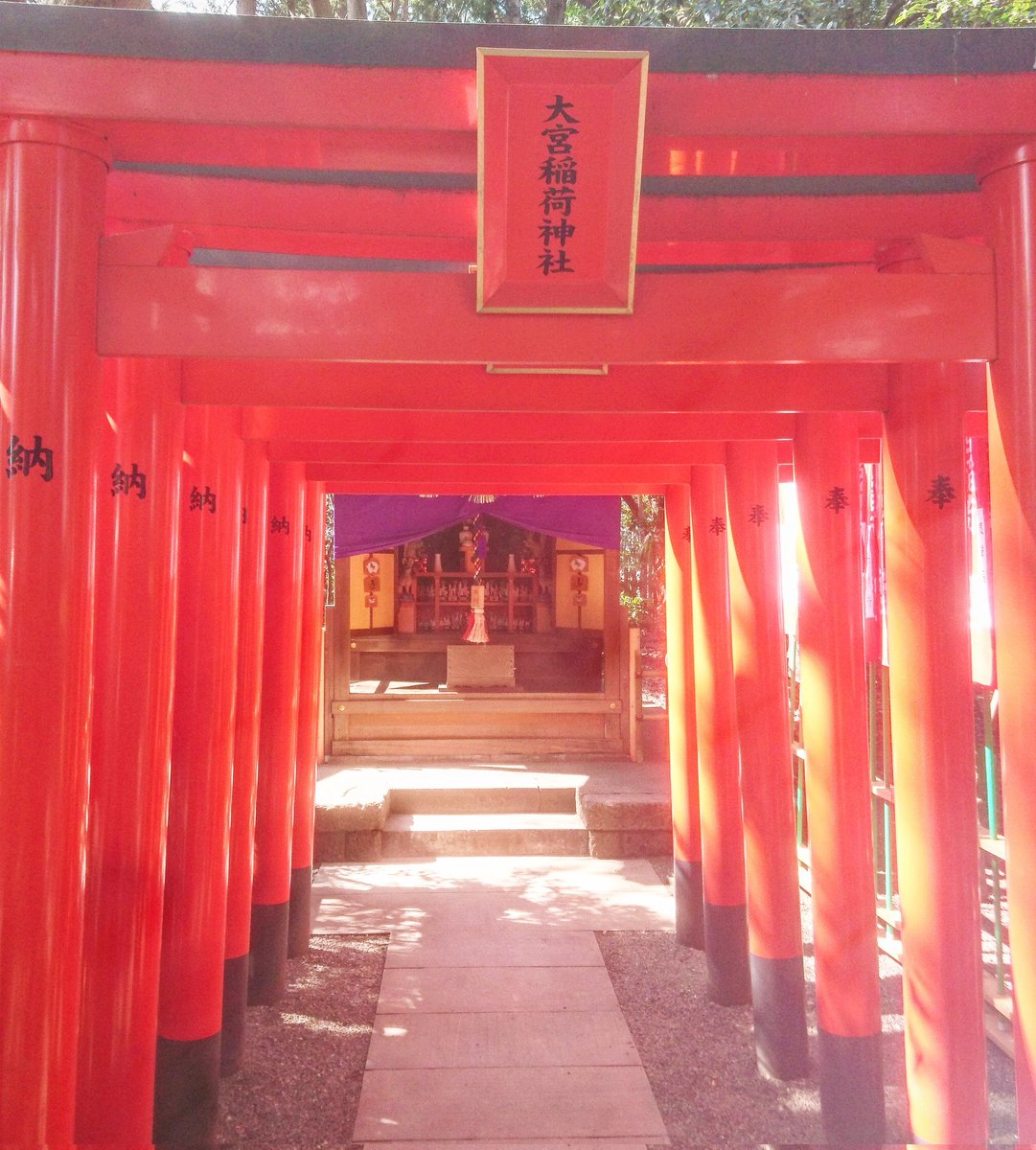 hikiyosememo's tweet photo. いつもありがとうございます(^^)

東京都杉並区の大宮八幡宮さんの大宮稲荷神社さんです♪

こちらは妖精や小さなおじさんの目撃情報で知られています✨

よかったら拡散、リツイートお願いします(^^)
すべての人に幸���が届きますように☆彡 https://t.co/mRkjtyUeiw