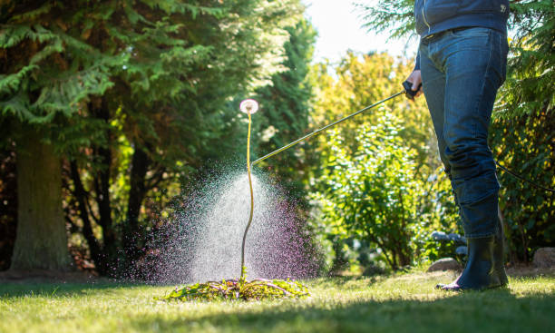 A healthy lawn starts with proper fertilization, and Parker Lawn Care offers expert fertilization services to promote healthy growth and prevent weeds. Contact us today to schedule your service and keep your lawn looking its best.