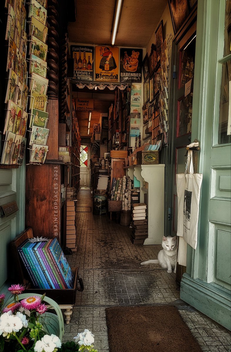 poetical photos. tweet media