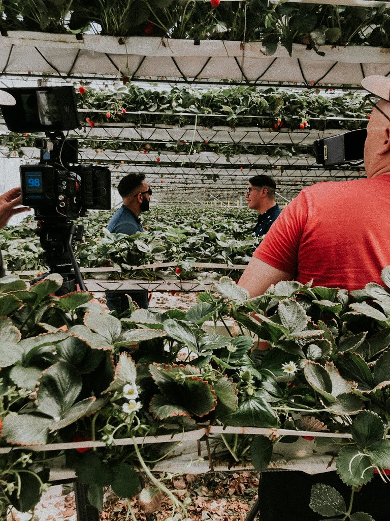 TasteofAbby's tweet photo. A BTS look at our upcoming podcast/video series on @biggerthanmepod and a number of folks who are doing work in the community that supports sustainable + healthy food systems. Today featured Amir Maan @maanfarms 's discussion on ag-tech integration &amp; vertical strawberry farming! https://t.co/Wtr8WJoeVv