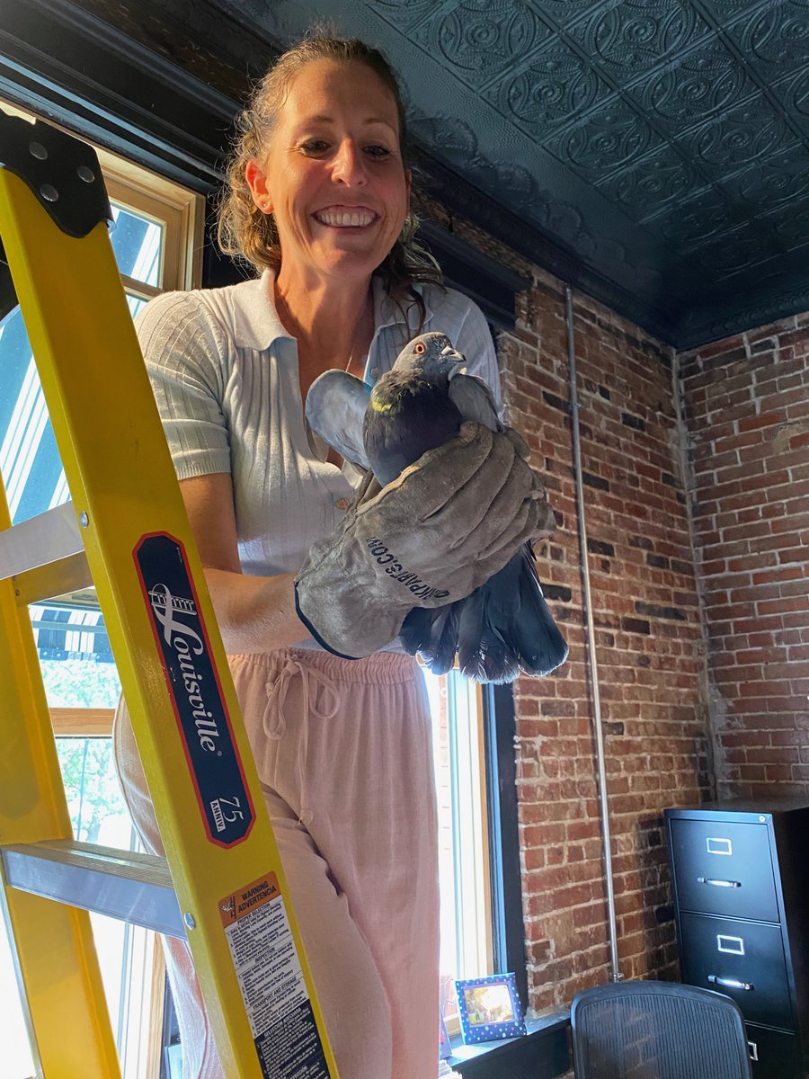 lissenicole's tweet photo. "Other duties as assigned" meets very displaced pigeon! #Thrivelife @ThriveAllen https://t.co/I9pRHoTjLD