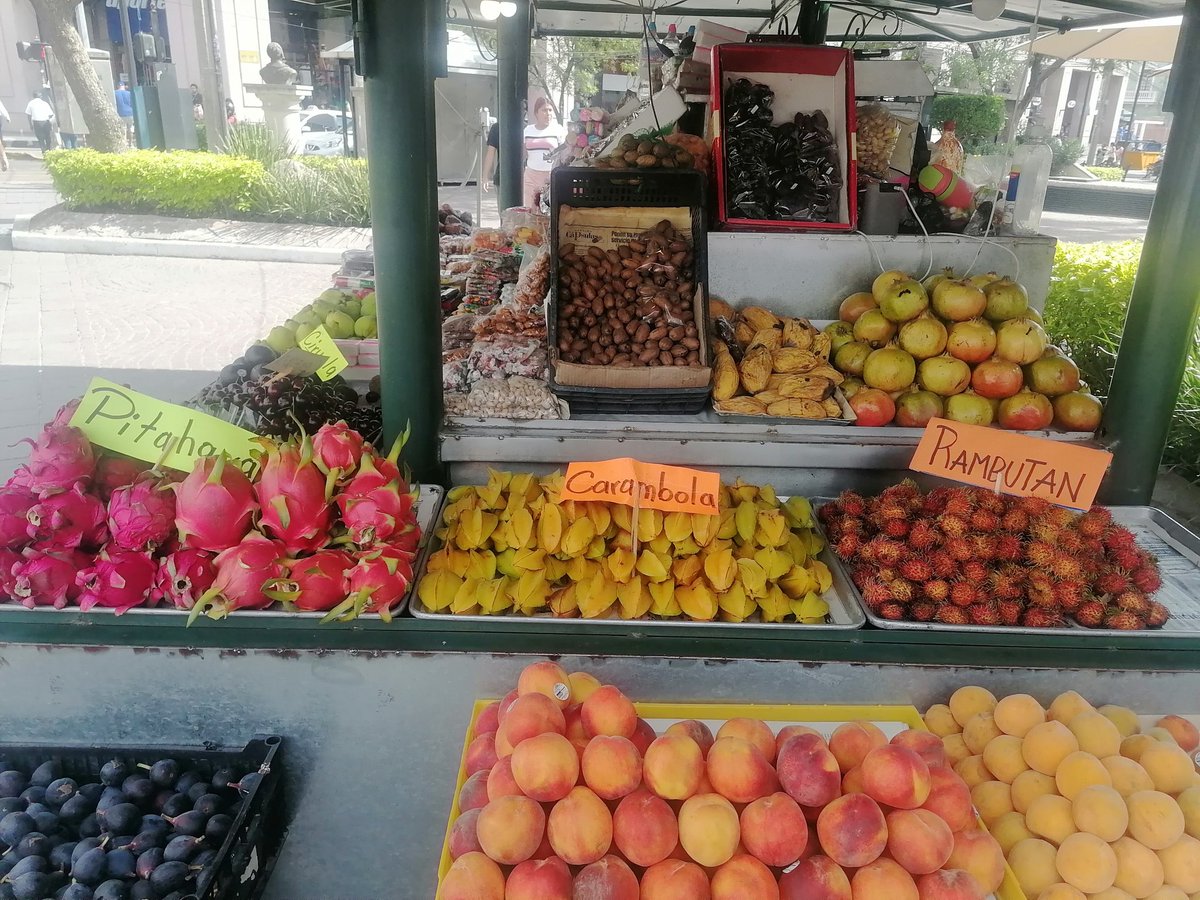 YvonneMo3's tweet photo. Aguascalientes ofrece una gran variedad de frutas exóticas y deliciosas.
#Pitahaya
#Carambola
#Rambutan
Sin dejar a un lado las riquísimas #Guayabas, grandes y dulces así como la #Granada y los #Higos 🤤 https://t.co/0yAy3MqNo7
