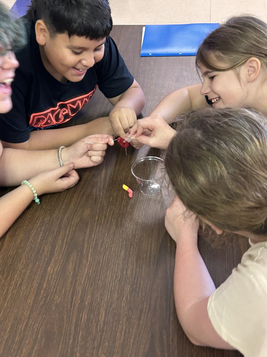 I plan on having my kids vote on the “Moment of the Week” this year, but since it’s the 1st week, I’ll pick. Save “Fred”.  Lots of laughter, communication, and encouragement from every group. It was great to see all the kids begin to feel a sense of belonging in our class 💜🚀