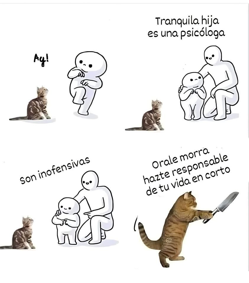 ChorizoCriticon's tweet photo. A ver si así entienden https://t.co/uVESZSMMtJ