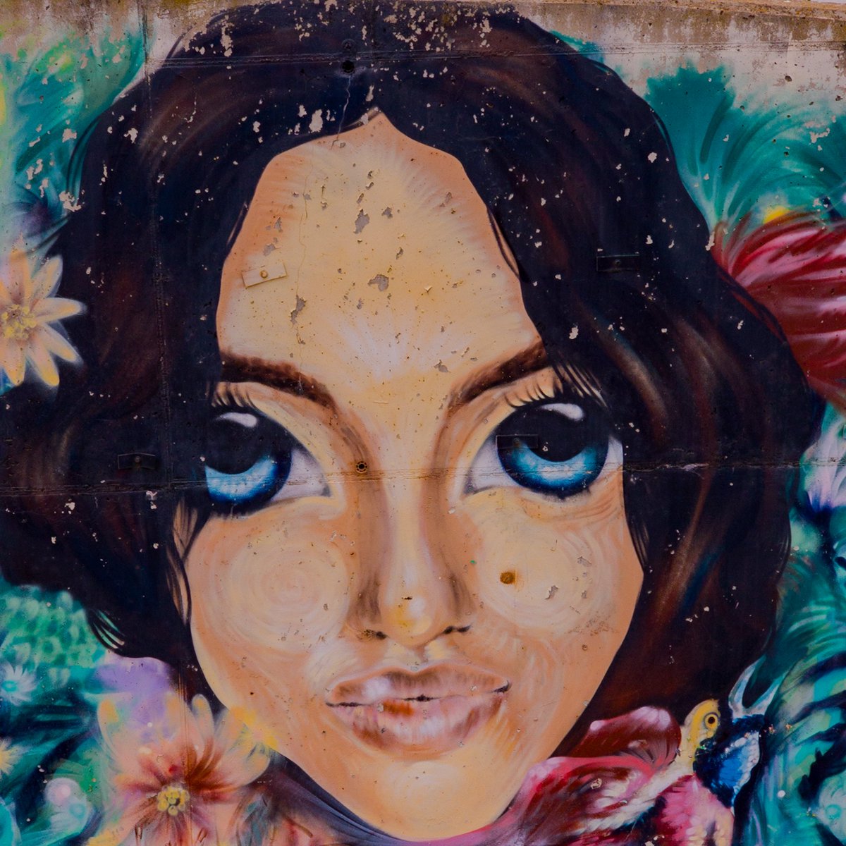 I saw this mural on a wall at the side of a river. It was bigger than it looks in the photo - perhaps 2.5m high. #mural #art #streetart #photography #phonephoto