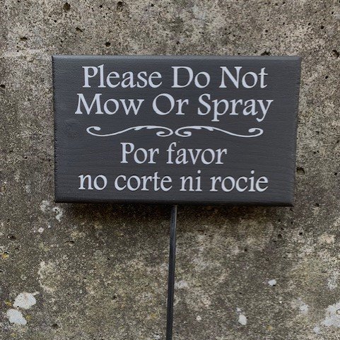 heartfeltgiver's tweet image. Handcrafted signs for your lawn care.  Personalization options available. 
heartfeltgiver.com/products/garde…

#handmadesign #handmadegifts #signs #LawnCare #smallbusinessowner #giftideas #crafts #craftsmanship