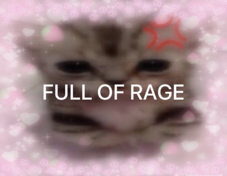 Kitty archives ♡ (@puppierz) on Twitter photo 