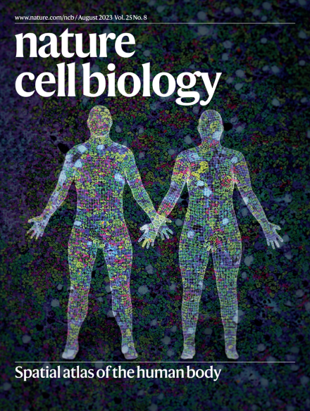 👋🏿🏖️Our August issue's live!      
Cover: human body #spatialatlas  

Read:
👉Perspective on @_hubmap 
👉🏼Turning point: Nancy Kleckner
👉🏽🔬on #lipiddroplet #autophagy, #mitochondria #DNArepair, #reprogramming, #migrasome formation, #neuroprotection & more!
go.nature.com/47wQsnh