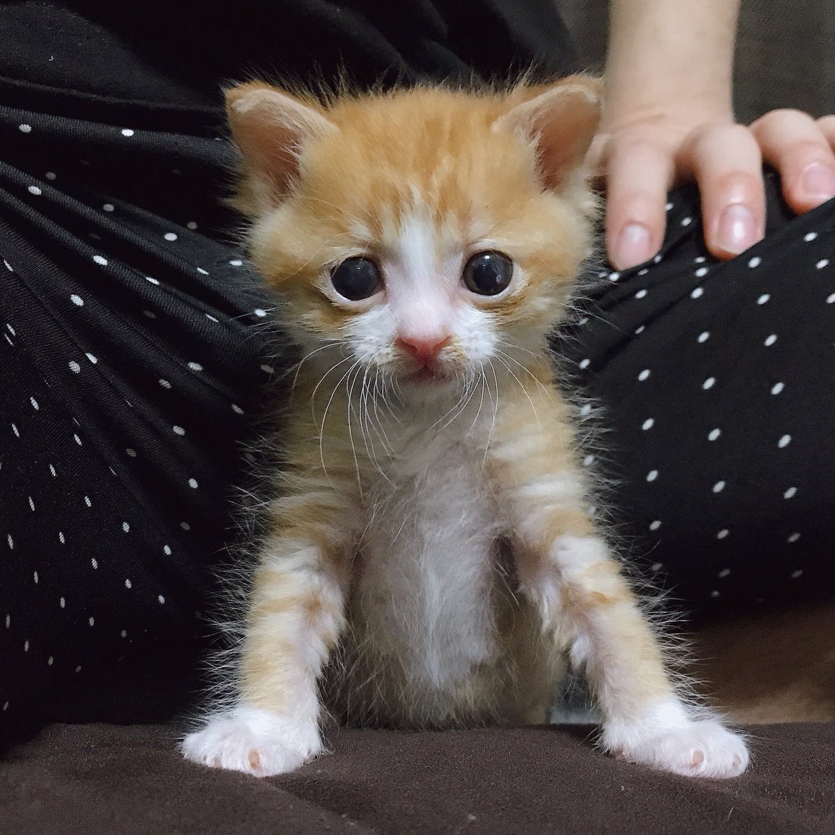 HumSmilbo's tweet image. Youe takin me to da WAT???
 THE VET????!!!!!!!!!!